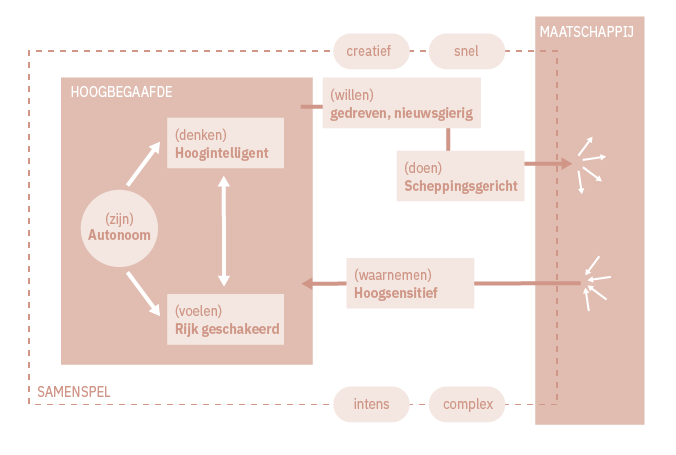 Figuur 3.1 Hoogbegaafdheid in beeld